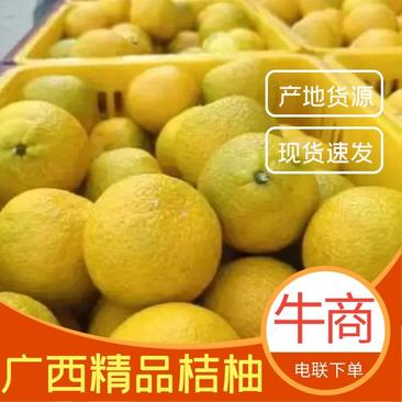 【果园现摘】优质桔柚产地直发对接全国批发商/商超，欢迎采购