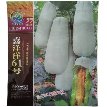 喜洋洋61号甜瓜种子薄皮羊角脆甜瓜种子糖度高香瓜种子