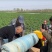 大棚卷膜机撤棚神器电动收膜机遥控收大棚膜工具收塑料大棚膜