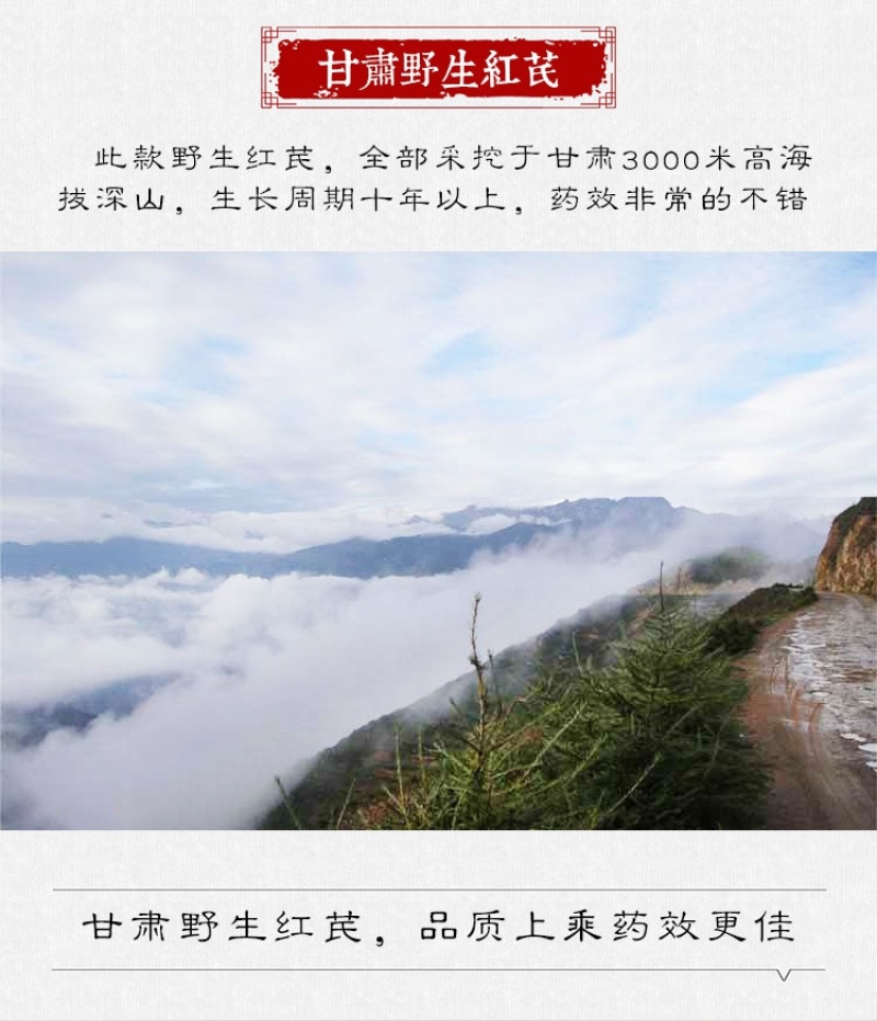 野生红芪片自然晒干产地批发红芪片多年生长符合药检标准