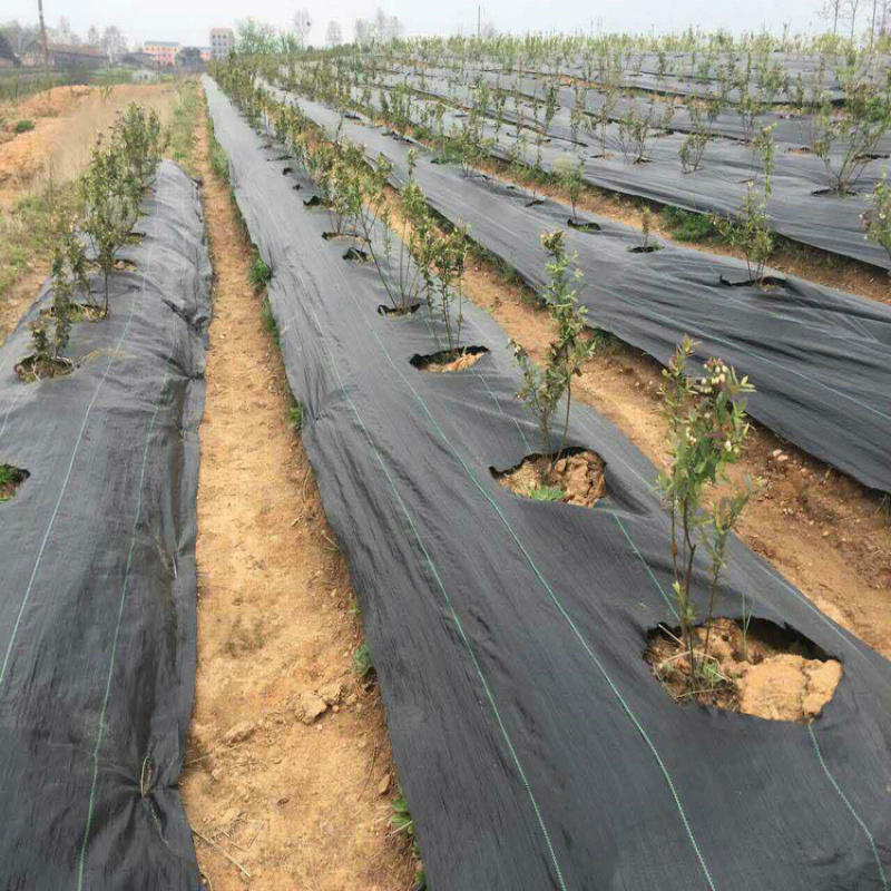 防草布透气厂家pp，pe除草布盖草布支持定制遮