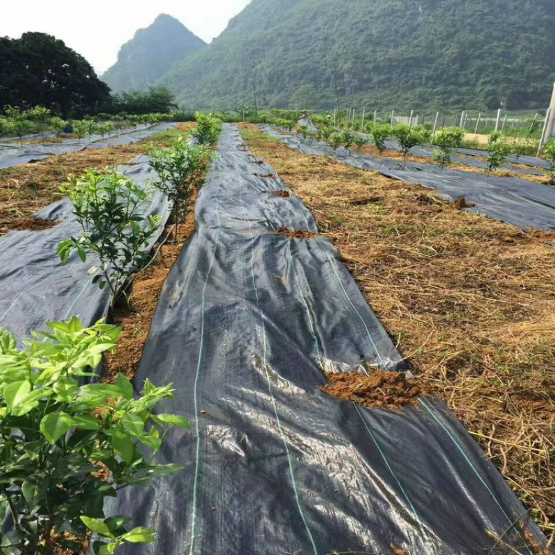 防草布透气厂家pp，pe除草布盖草布支持定制遮