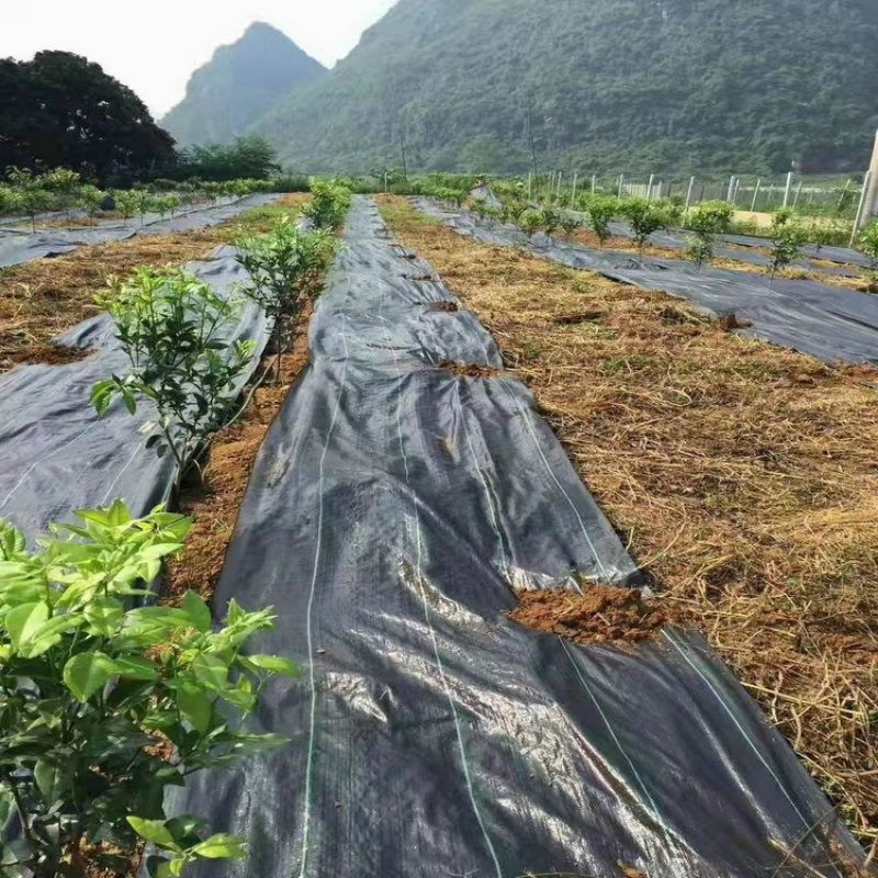 PP防草布除草布果园大棚花卉种植园园艺防草布黑色编织地布