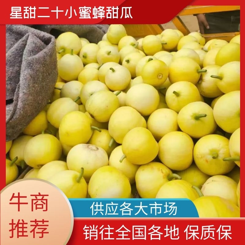 星甜二十小蜜蜂甜瓜大量上市，对接电商，超市商场。一手货源