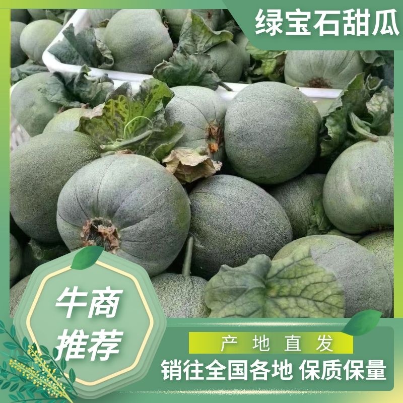 【优选】甜瓜大量上市，商场，超市电商代发全国各地
