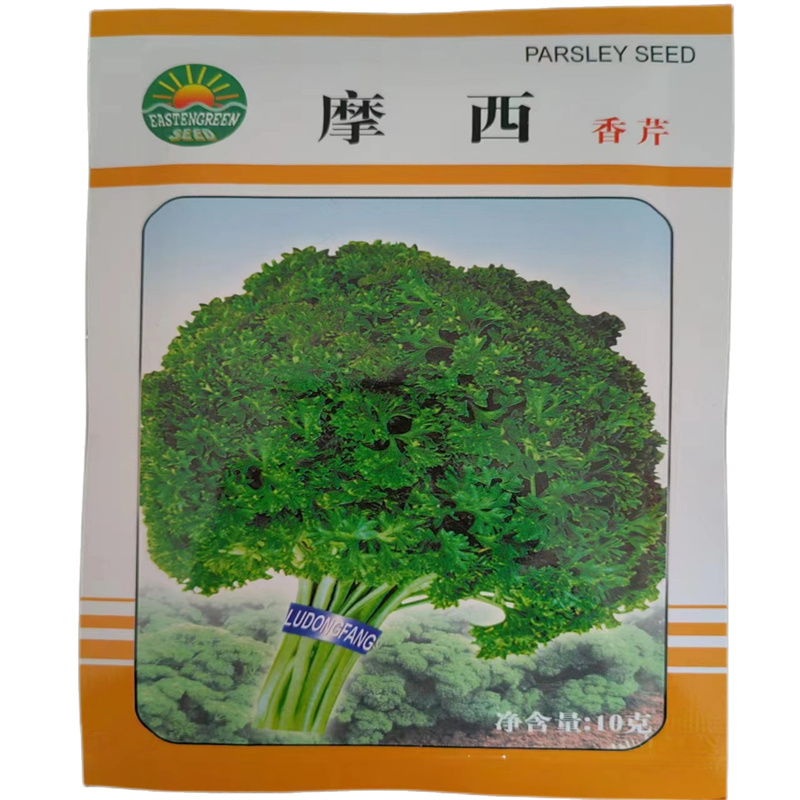 摩西香芹种子意大利欧芹种子法香种子洋香菜高产发芽高