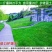 草坪种子草籽四季常青免修剪狗牙根果岭草护坡草皮耐寒绿化草