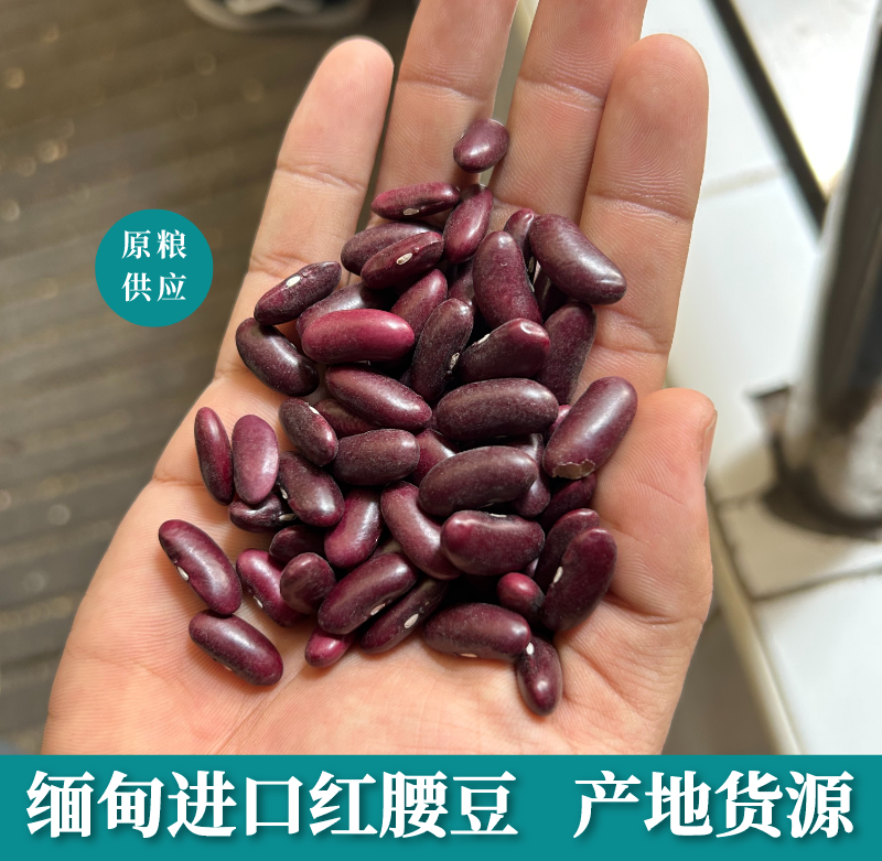 红腰豆缅甸进口腰豆大红豆红芸豆红豆豆沙馅豆类