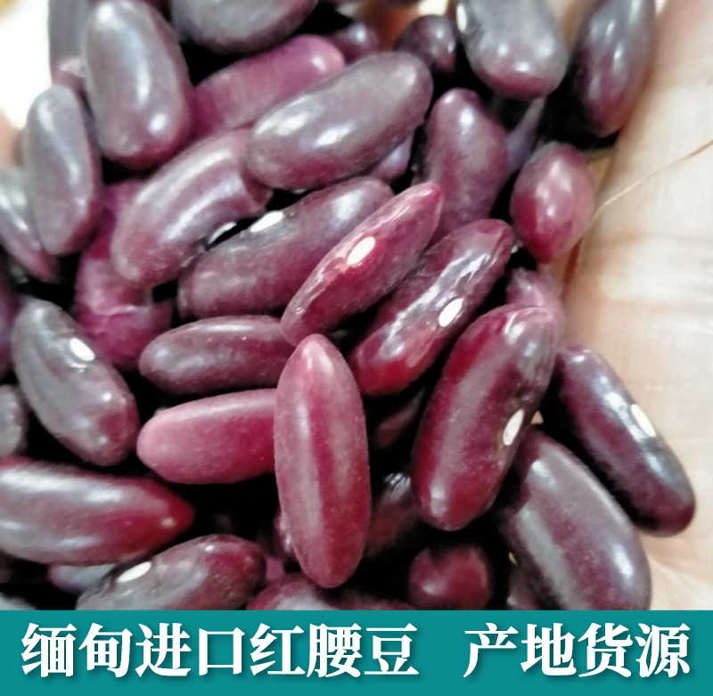 红腰豆缅甸进口腰豆大红豆红芸豆红豆豆沙馅豆类