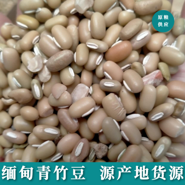 青竹豆-青竹豆批发缅甸进口精选优质竹豆现货批发