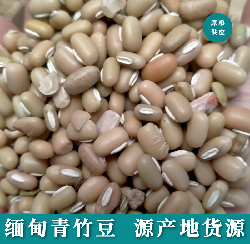 青竹豆-青竹豆批发缅甸进口精选优质竹豆现货批发