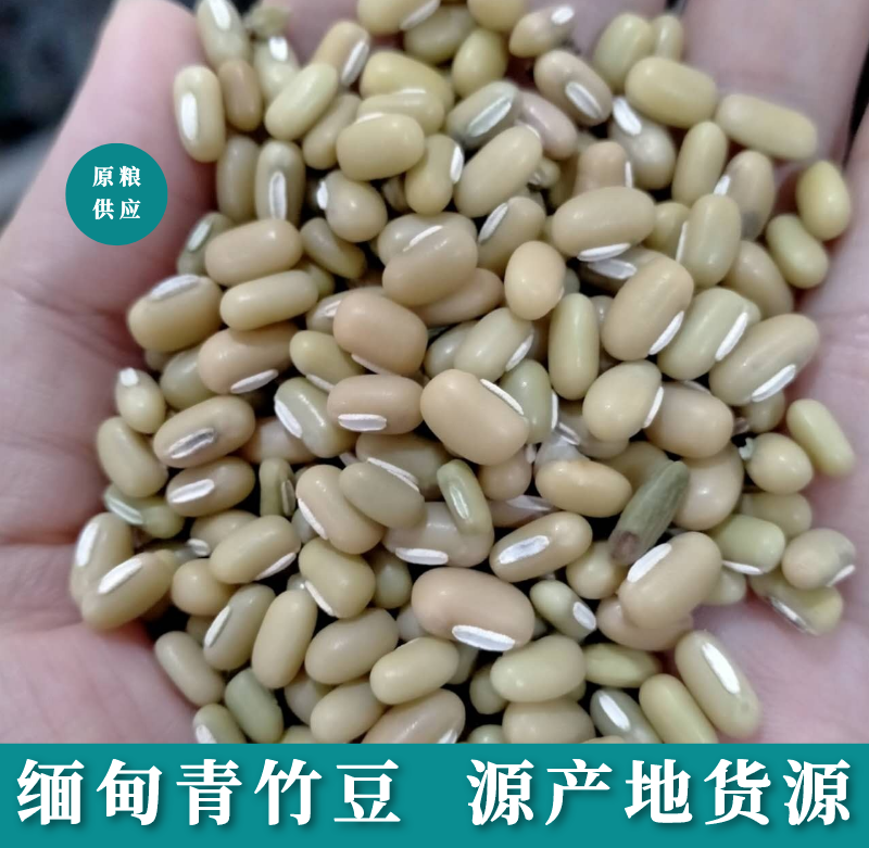 青竹豆-青竹豆批发缅甸进口精选优质竹豆现货批发