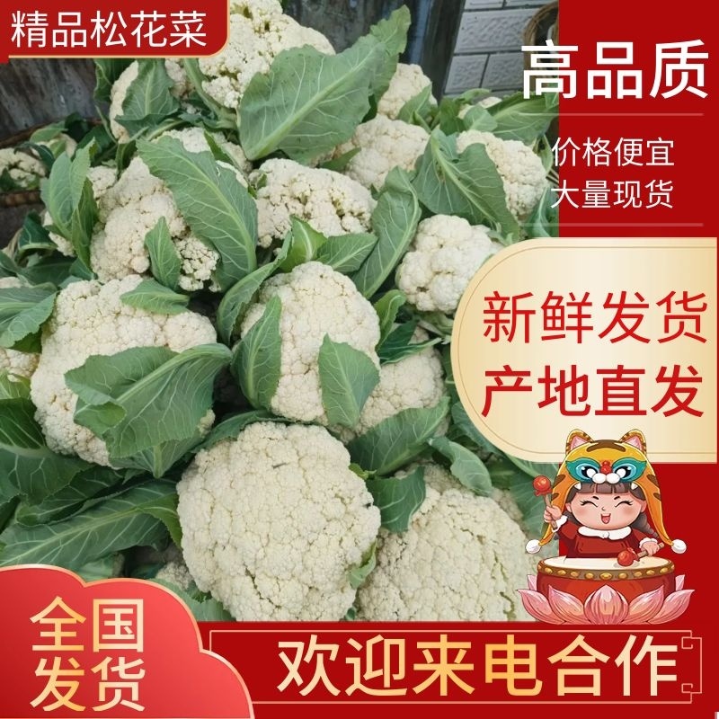 优质松花菜开封白面青梗有机花菜产地直发视频看货质量保障