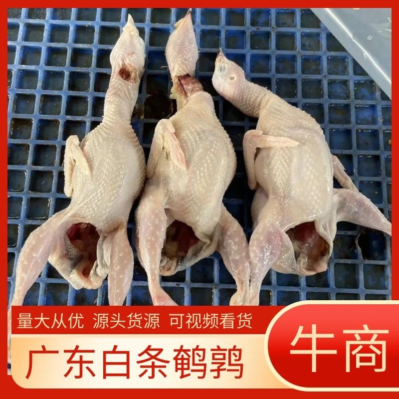 大量鹌鹑肉白条一手货源，质量保证，对接市场商超饭店电联