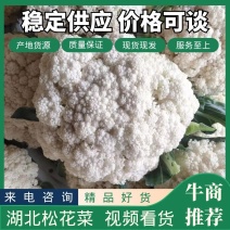 [精品]湖北有机花菜西兰花松花菜产地直销看货论价