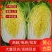 湖北精品黄心大白菜，农家种植量大品质好欢迎咨询
