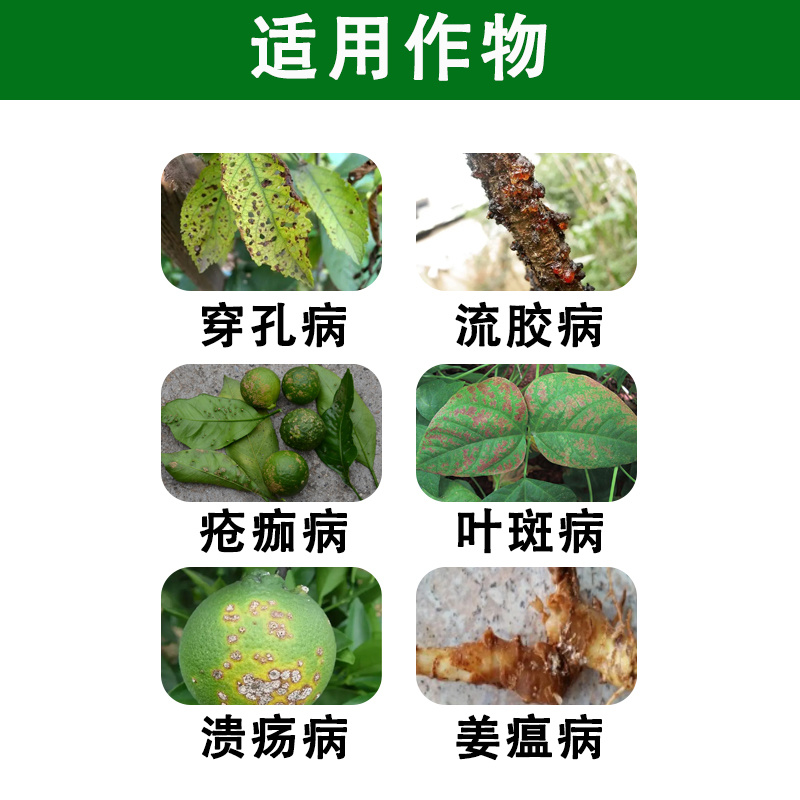 春雷霉素2%溃疡角斑疮痂根腐软腐青枯等细菌病害