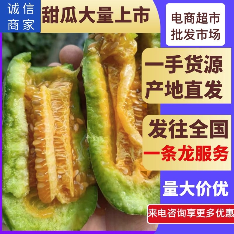 博洋九甜瓜，大量上市，价格便宜，，种植面积大，欢迎全国各