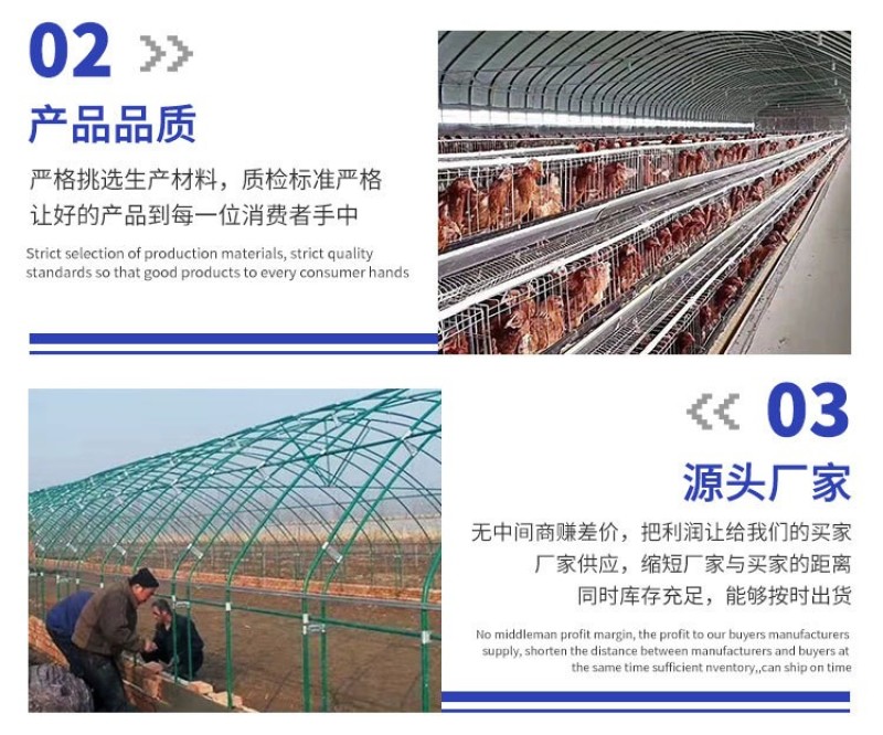 畜牧大棚养殖大棚包塑大棚管骨架养殖棚专用养鸡鸭鹅大棚