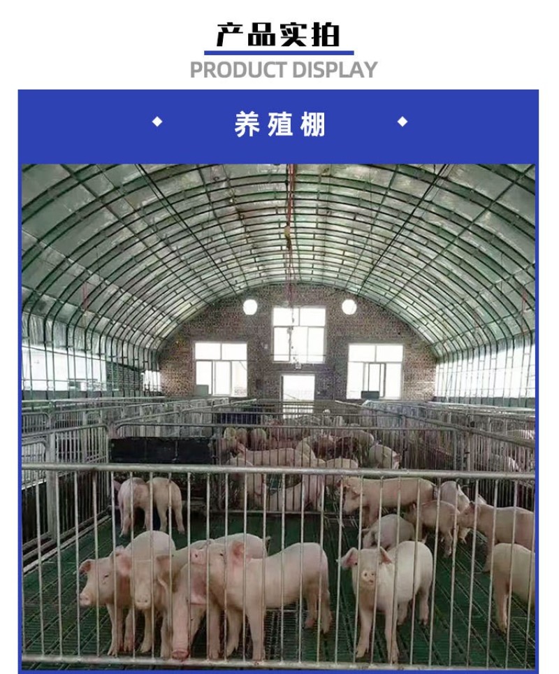 畜牧大棚养殖大棚包塑大棚管骨架养殖棚专用养鸡鸭鹅大棚