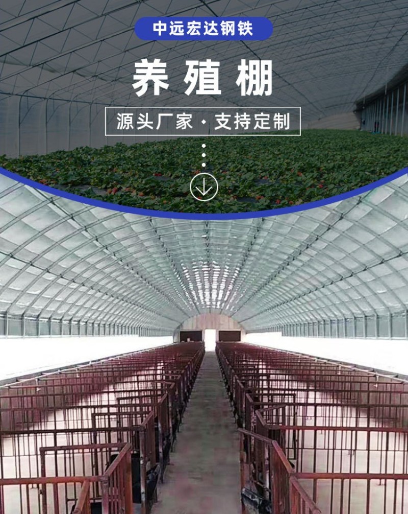 畜牧大棚养殖大棚包塑大棚管骨架养殖棚专用养鸡鸭鹅大棚
