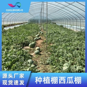 玻璃温室大棚西瓜棚智能温室阳光板连体大棚温室骨架连栋