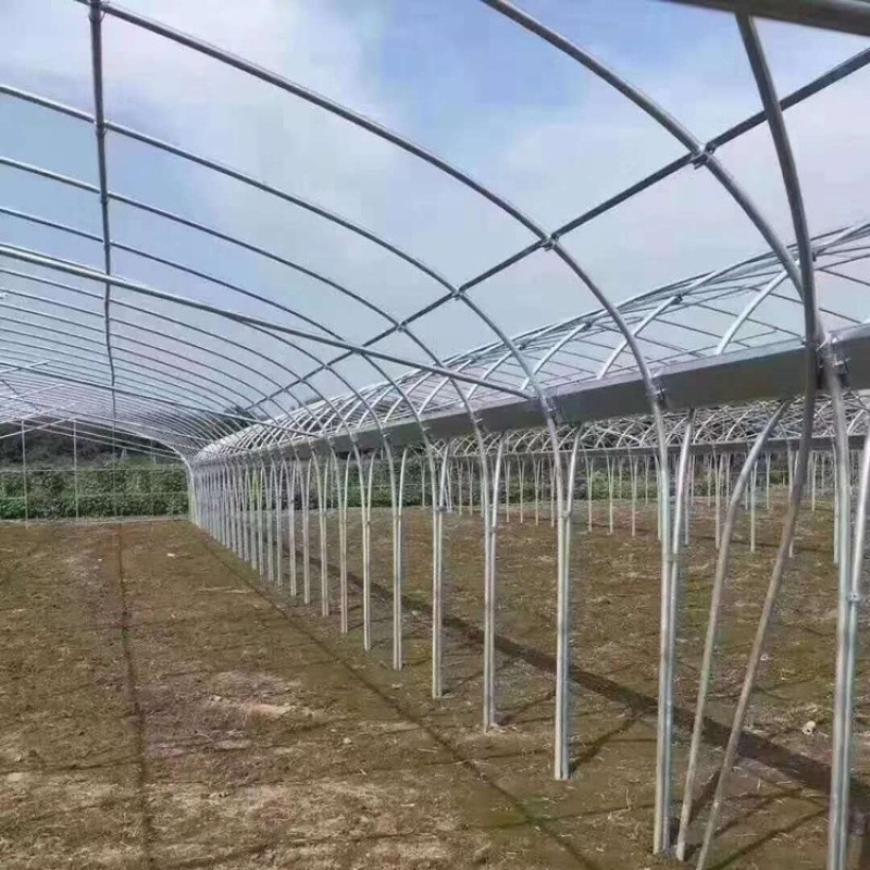 玻璃温室育苗大棚温室花卉棚蔬菜镀锌温室大棚厂家供应