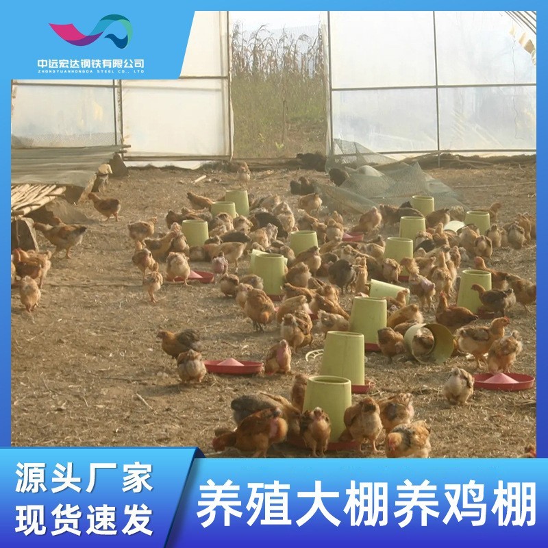 智能温室大棚遮阳避雨棚畜牧养殖养鸡养猪养鸡养牛温室大