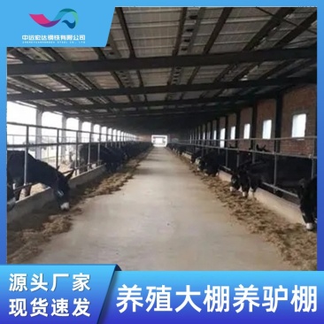 厂家供应养殖大棚设计安装养牛大棚养驴大棚农业畜牧养