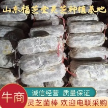 灵芝菌棒，食用菌，基地一手货源，质量保证，诚信经营，电联