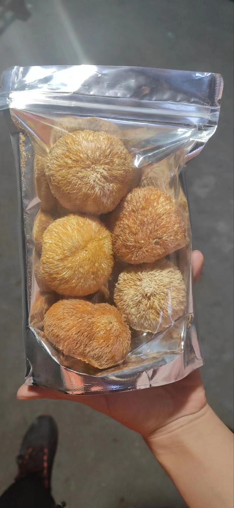 厂地上车价猴头菇6一8精品价格稳定对接电商来电询价