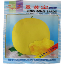 景黄宝四型西瓜种子100粒椭圆形黄皮黄瓤早熟礼品西瓜种子