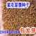紫花苜蓿种子多年生苜蓿草种子四季常青牧草鸡鸭鹅牛羊鱼草籽