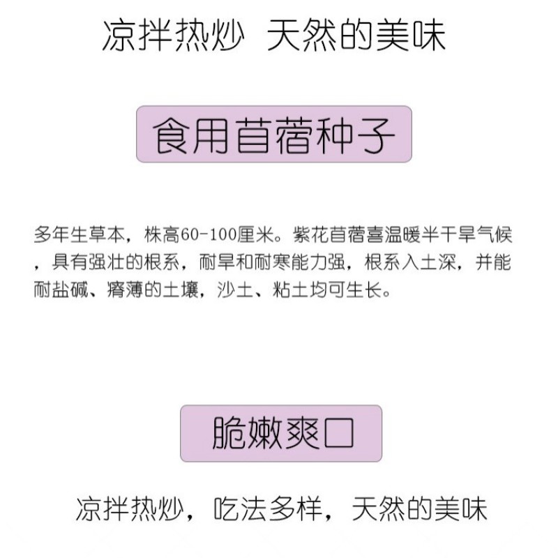 紫花苜蓿种子多年生苜蓿草种子四季常青牧草鸡鸭鹅牛羊鱼草籽