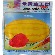 景黄宝五型西瓜种子100粒早熟黄皮红瓤礼品小西瓜种子特大