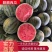 夏邑麒麟美都西瓜产地直发皮薄无籽瓜甜多汁质量保证