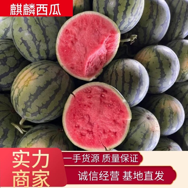 夏邑麒麟美都西瓜产地直发皮薄无籽瓜甜多汁质量保证