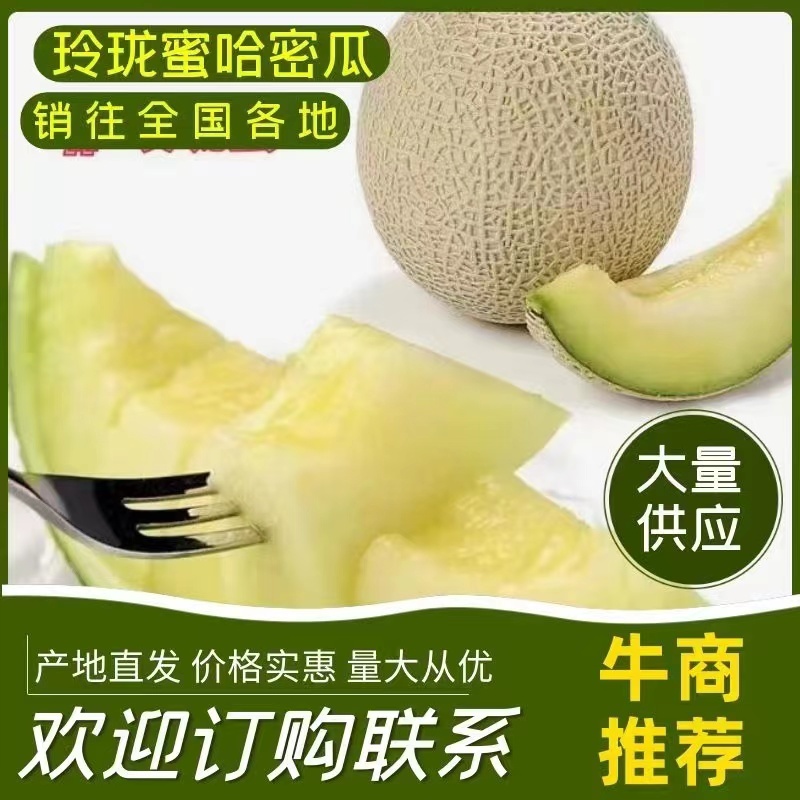 香瓜甜瓜鲁厚甜网纹瓜玫珑甜瓜网红瓜