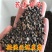 荞麦种子四季食用甜苦荞麦三角麦花荞乌麦蜜源植物芽苗菜种子