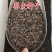 荞麦种子四季食用甜苦荞麦三角麦花荞乌麦蜜源植物芽苗菜种子