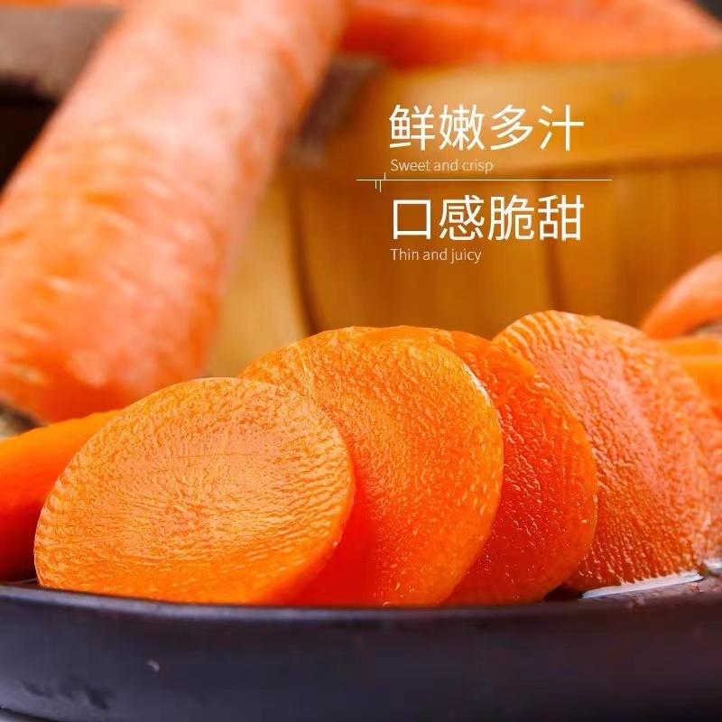 新鲜蔬菜水果农家自种现挖带泥水果胡萝卜新鲜现挖红萝卜