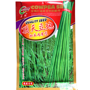 豇豆种子加长肉厚豆角种长条绿无鼠尾肉质厚耐老化产量高