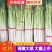 福建大葱，长白大葱大量供应，货源充足，对接大型批发