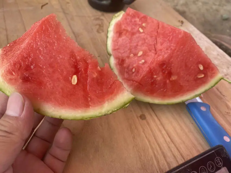 云南西瓜美都西瓜麒麟西瓜，精品产地直发，货源充足