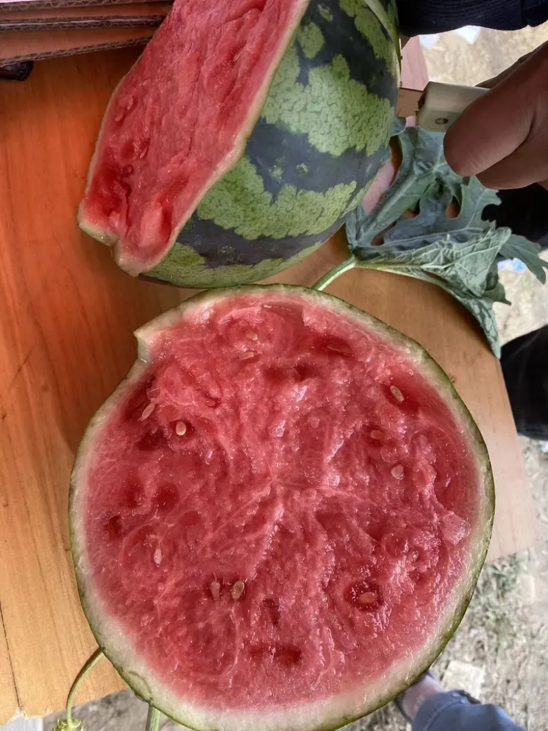 云南西瓜美都西瓜麒麟西瓜，精品产地直发，货源充足
