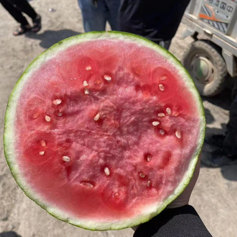 云南西瓜美都西瓜麒麟西瓜，精品产地直发，货源充足