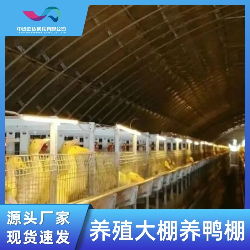 拱形温室养鸭棚养殖棚厂家现货温室棚拱形保温禽类养殖温室大