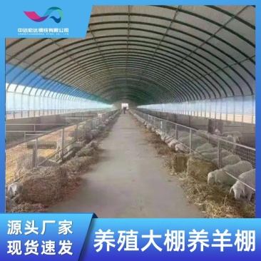 厂家供应批发安装养鸡鸭养羊大棚养殖棚温室牛羊大棚遮雨