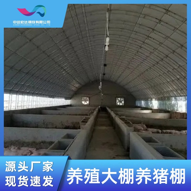 养猪大棚冬暖夏凉畜牧业养殖棚阳光玻璃温室大棚连栋控温