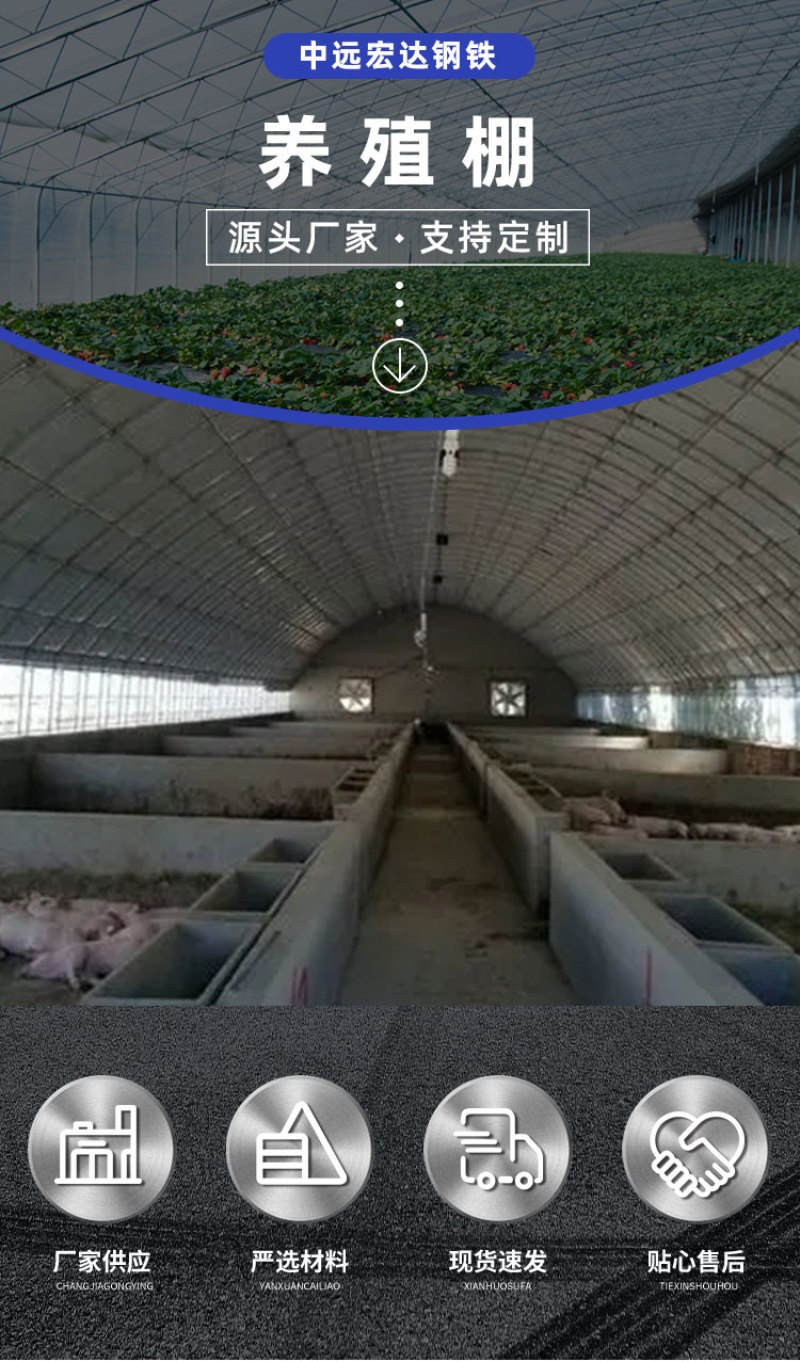 养猪大棚冬暖夏凉畜牧业养殖棚阳光玻璃温室大棚连栋控温